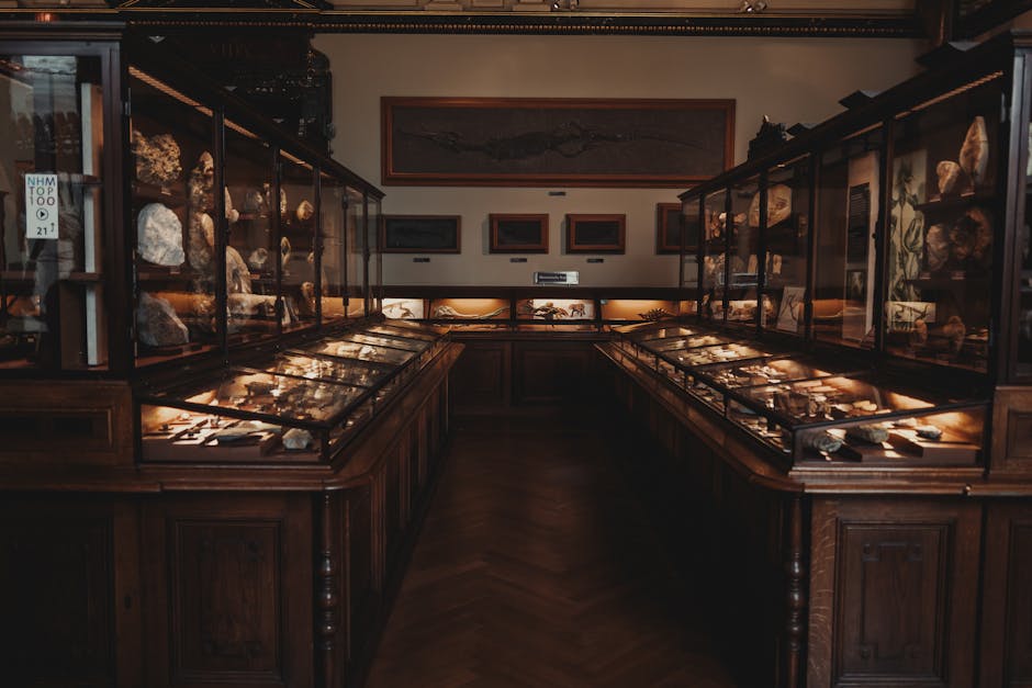 Museum exhibit displaying minerals and fossils in glass cases