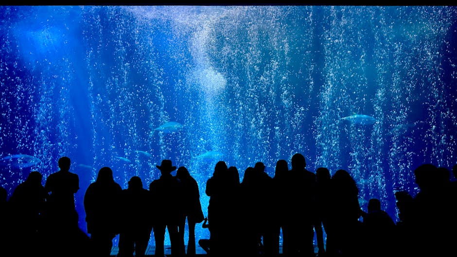 Visitors silhouetted against a large aquarium display watching marine life