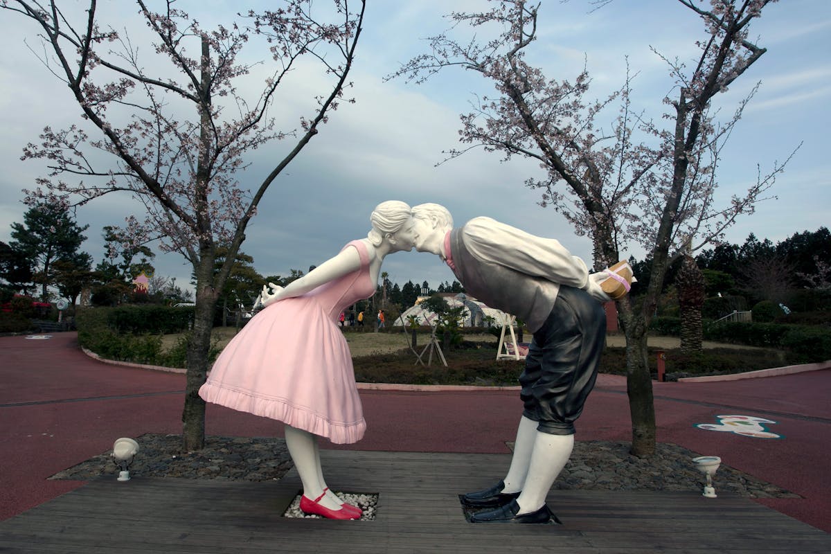 Cherry blossom trees in bloom at a park