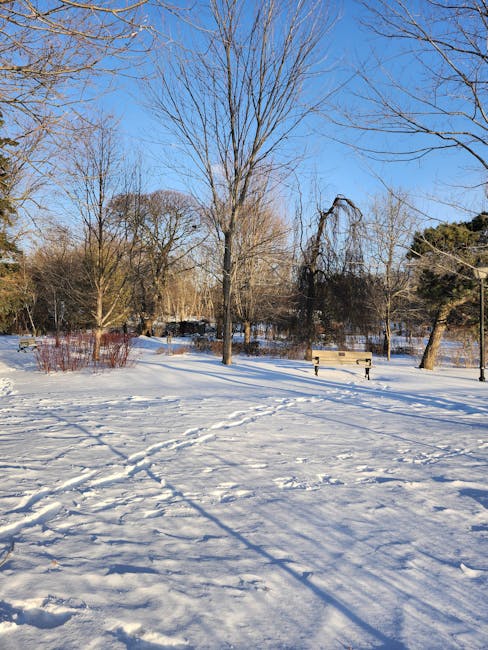Lush green nature trails and trees in High Park Toronto — the city's largest public park