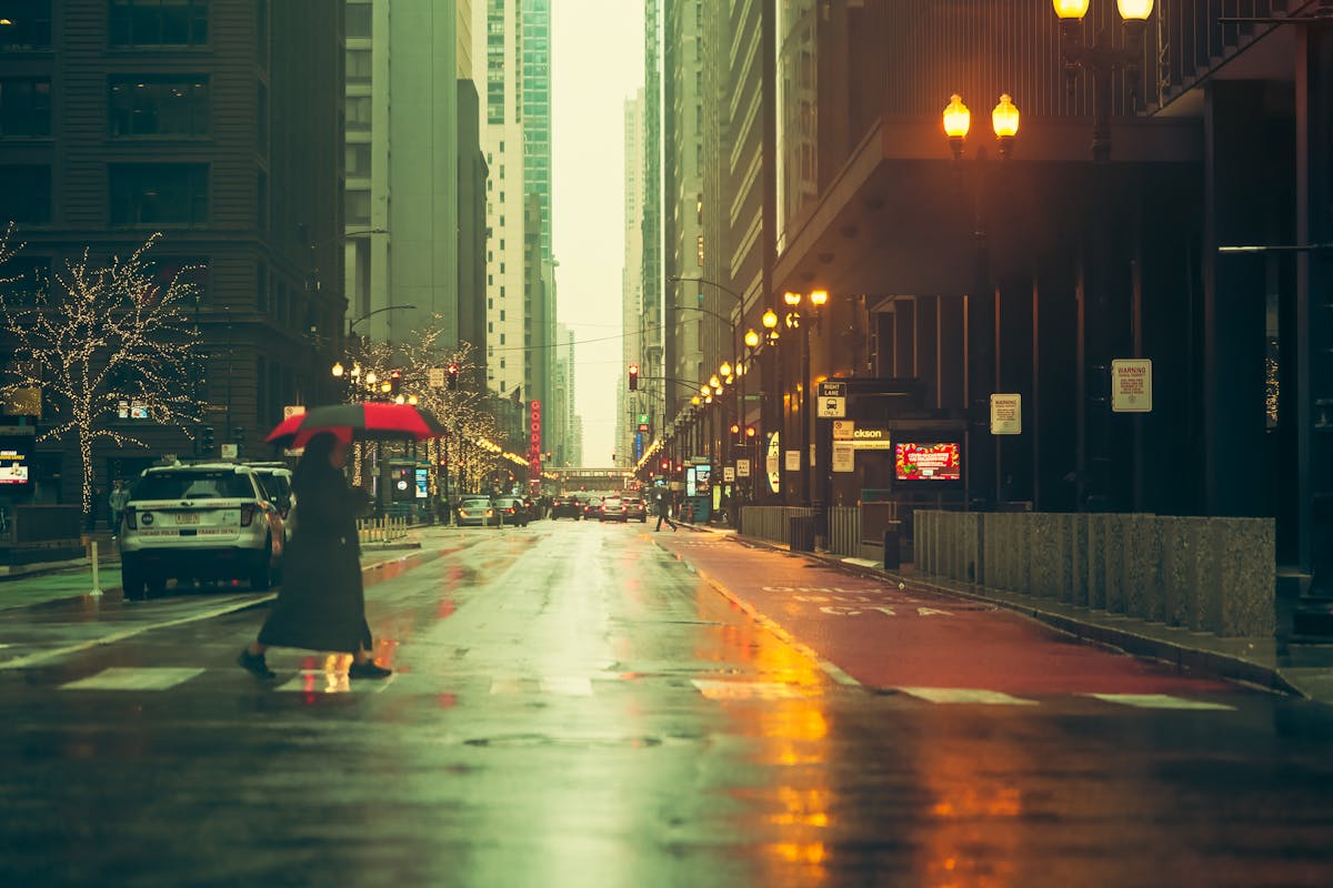 Things to Do in Toronto When It Rains