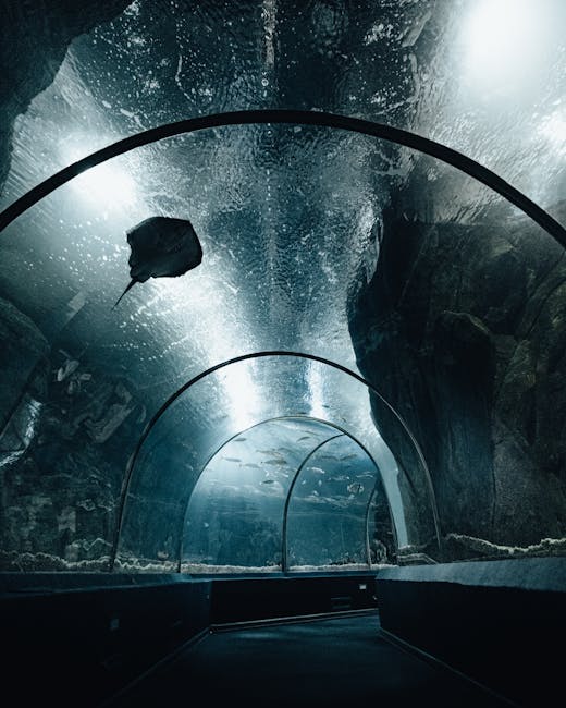 Underwater tunnel at Ripley's Aquarium of Canada showing sharks and marine life swimming overhead