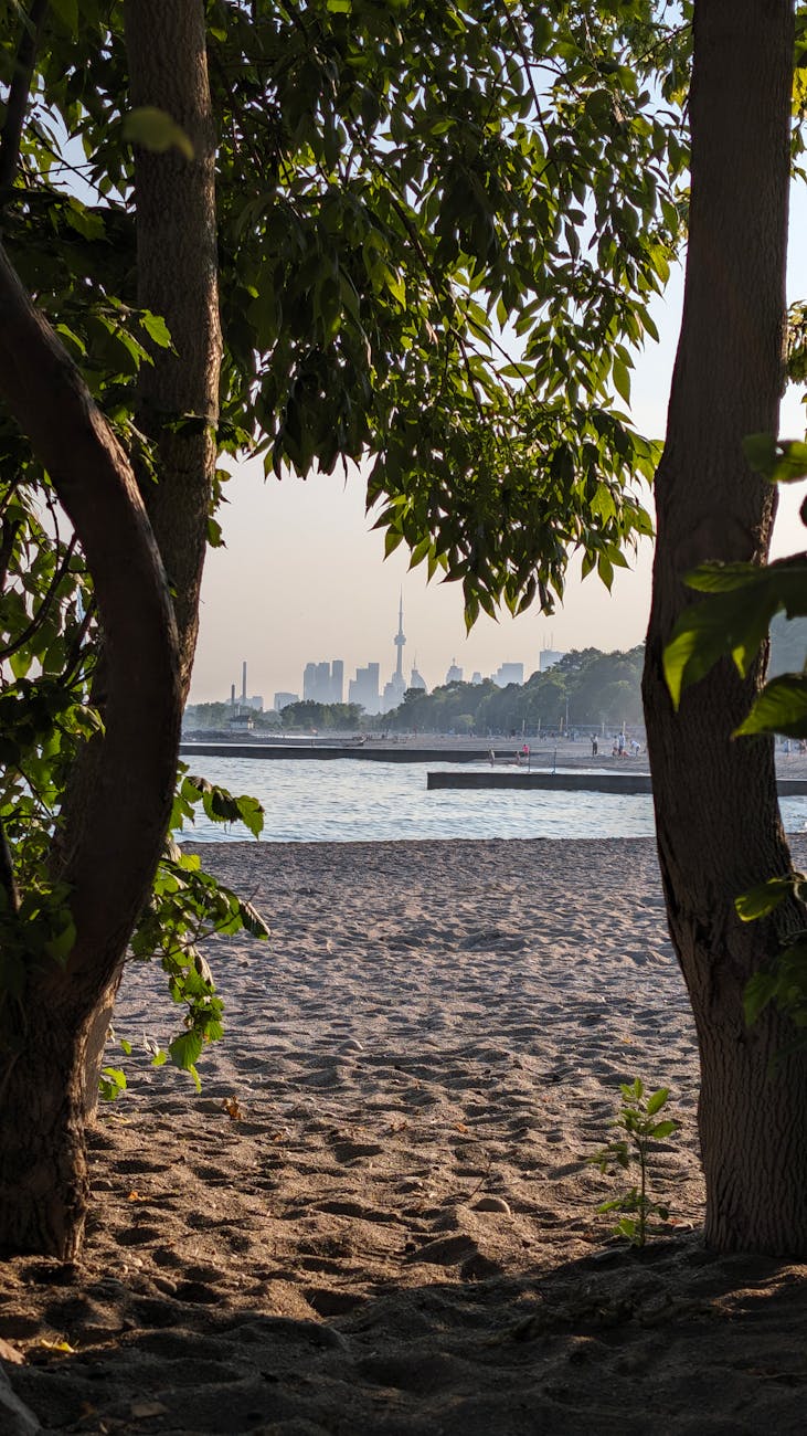 Toronto skyline framed by trees on a sandy beach
