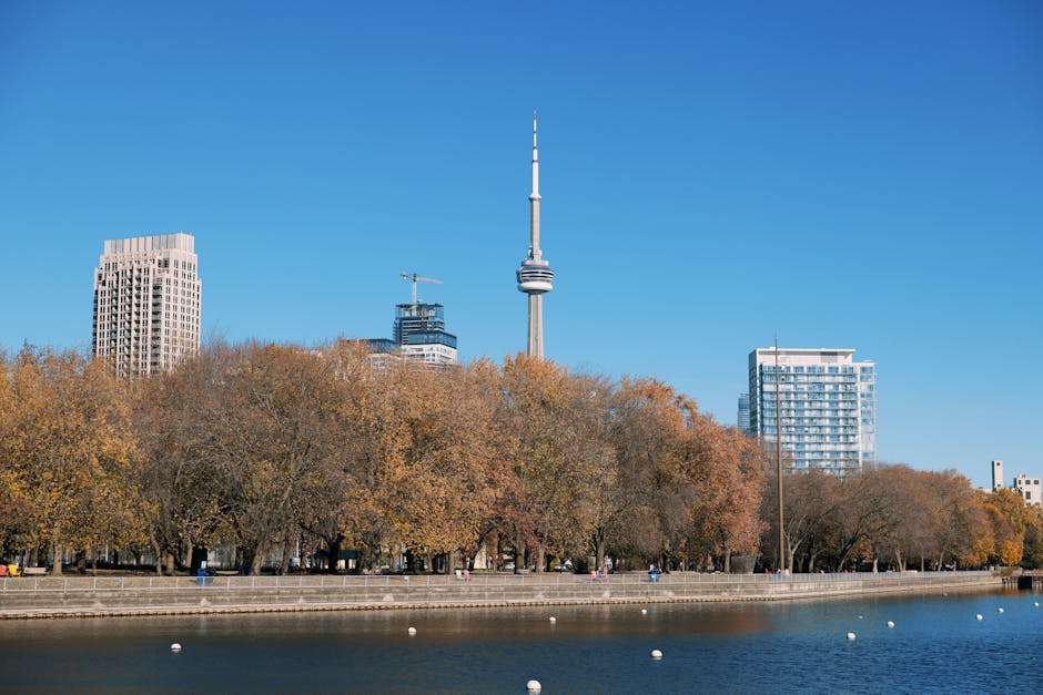 Toronto waterfront with CN Tower and fall foliage
