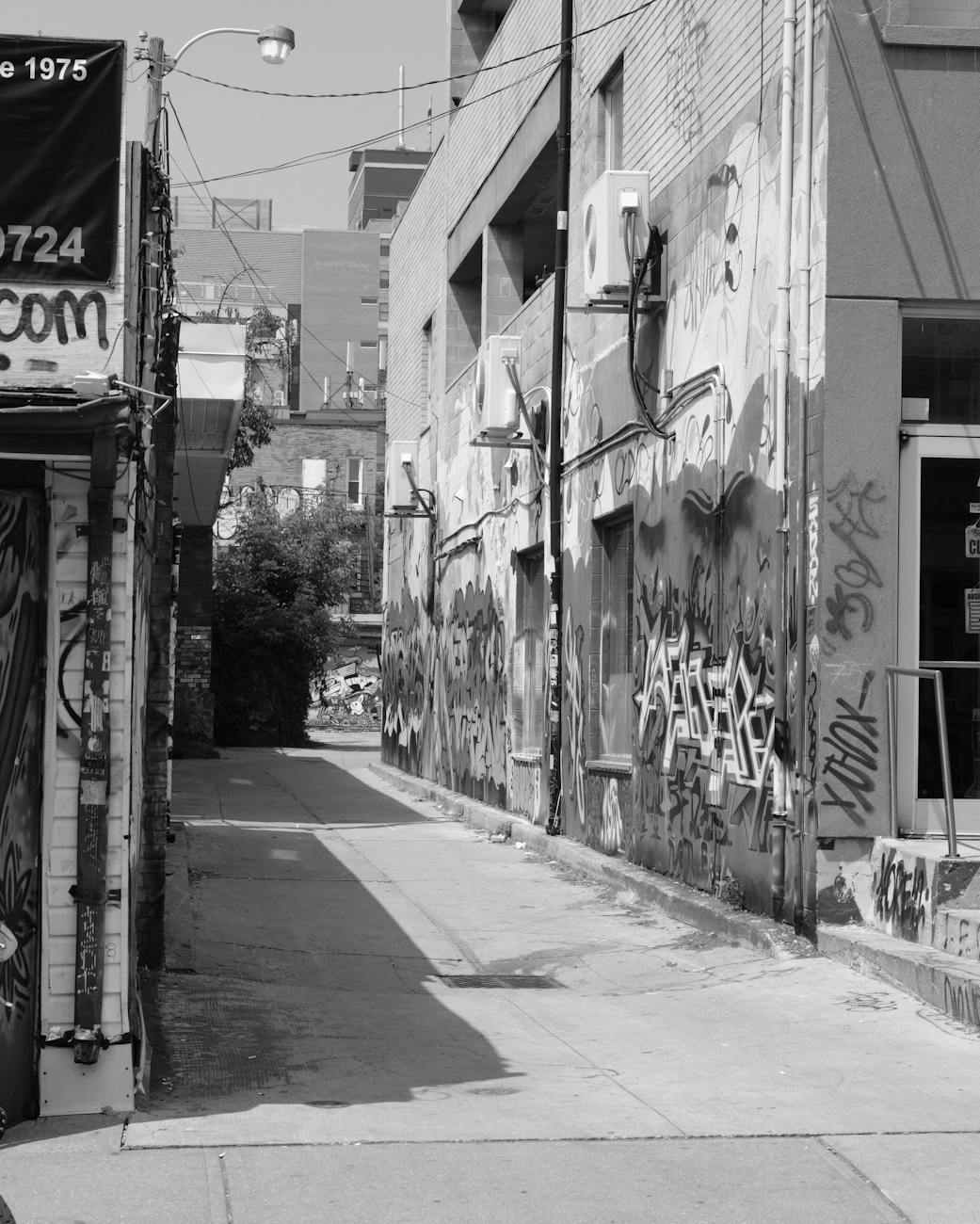 Urban graffiti artwork lining an alleyway in Toronto