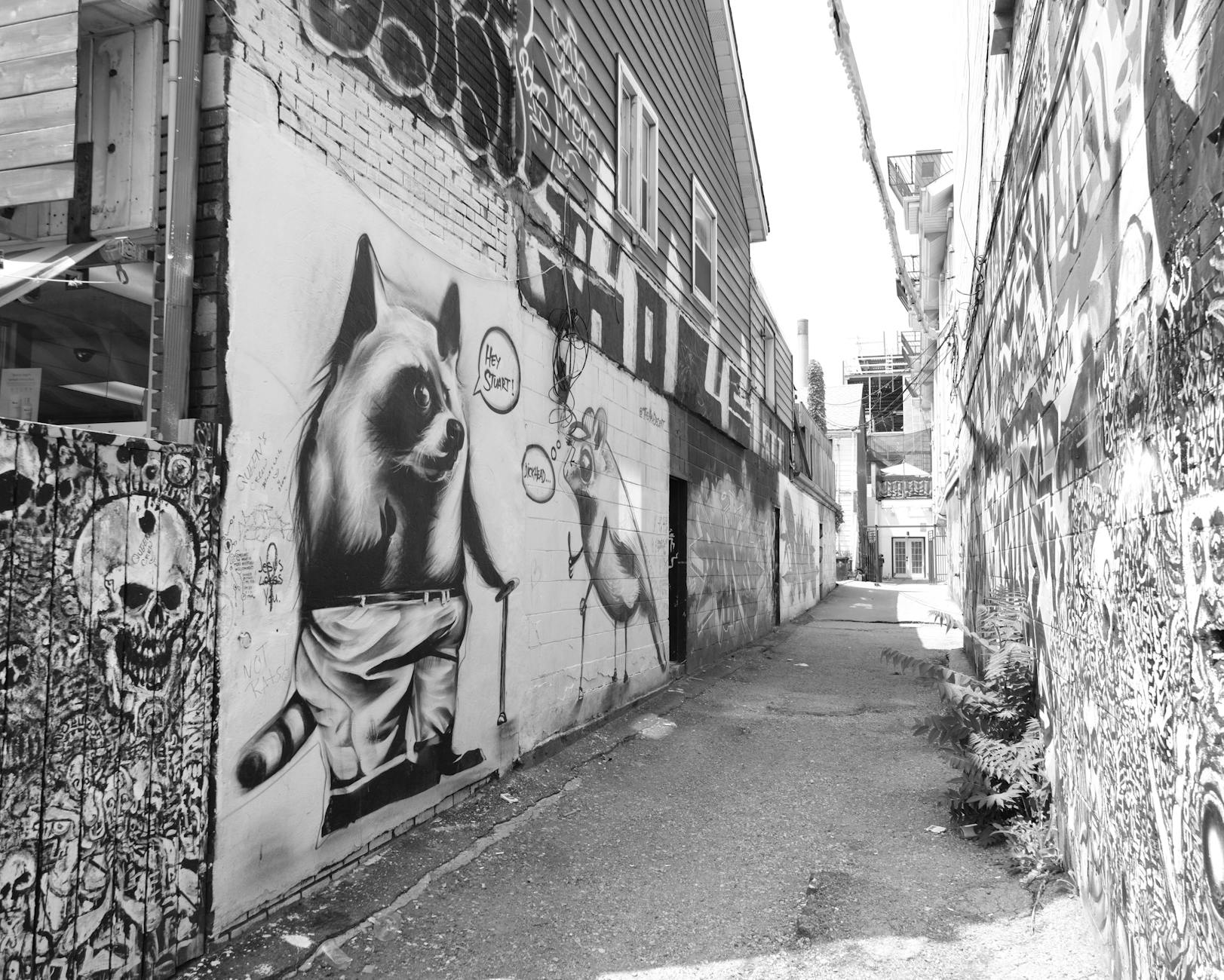 Hidden Gems in Toronto: 40+ Secret Spots Locals Love
