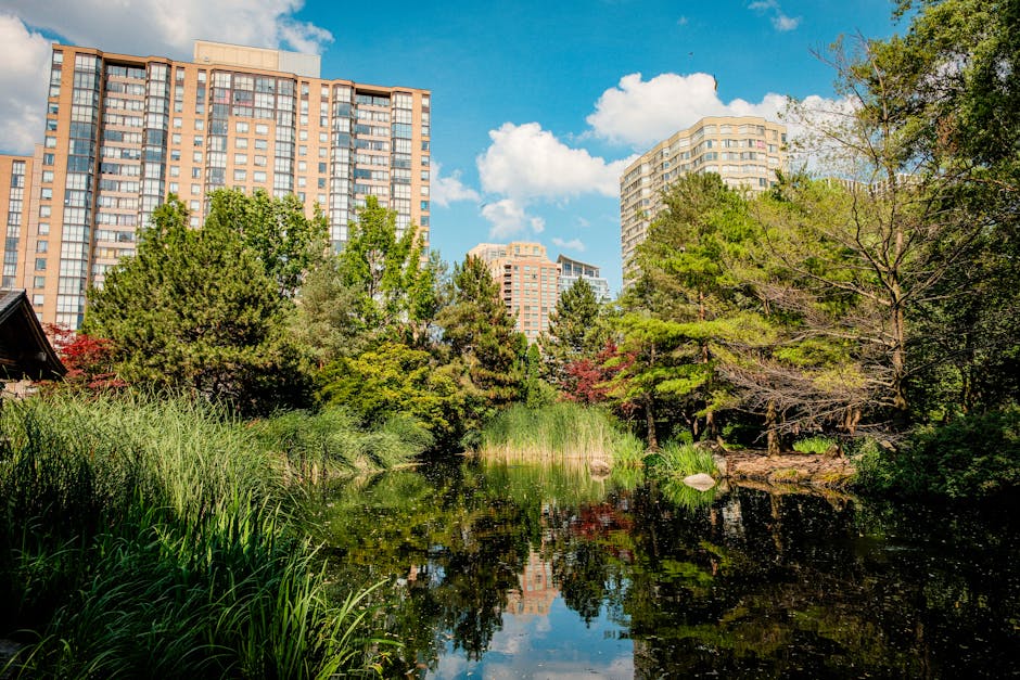 Outdoor Activities in Toronto: Nature & Adventure Guide