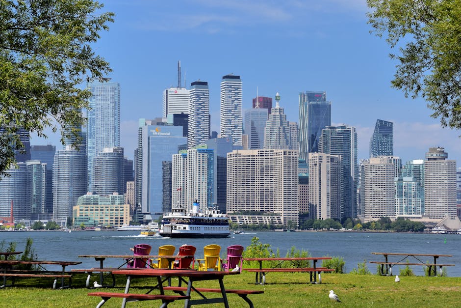 Sunny summer day in a Toronto park