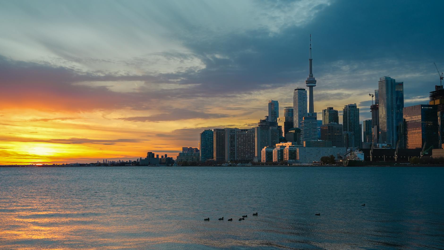 Things to Do in Toronto This Weekend: The Complete 2-Day Guide