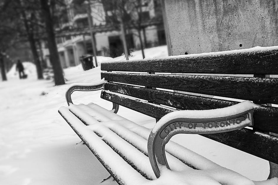 Winter scene with snow-covered bench in Toronto