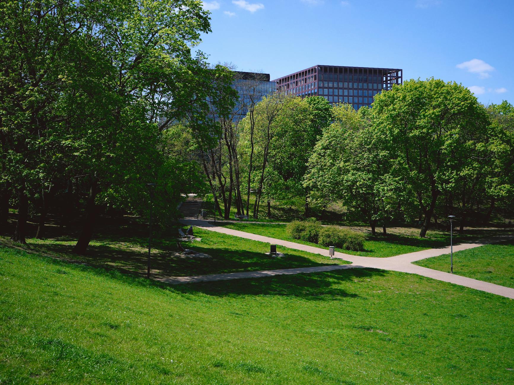Best parks in Toronto green space trees pathway nature