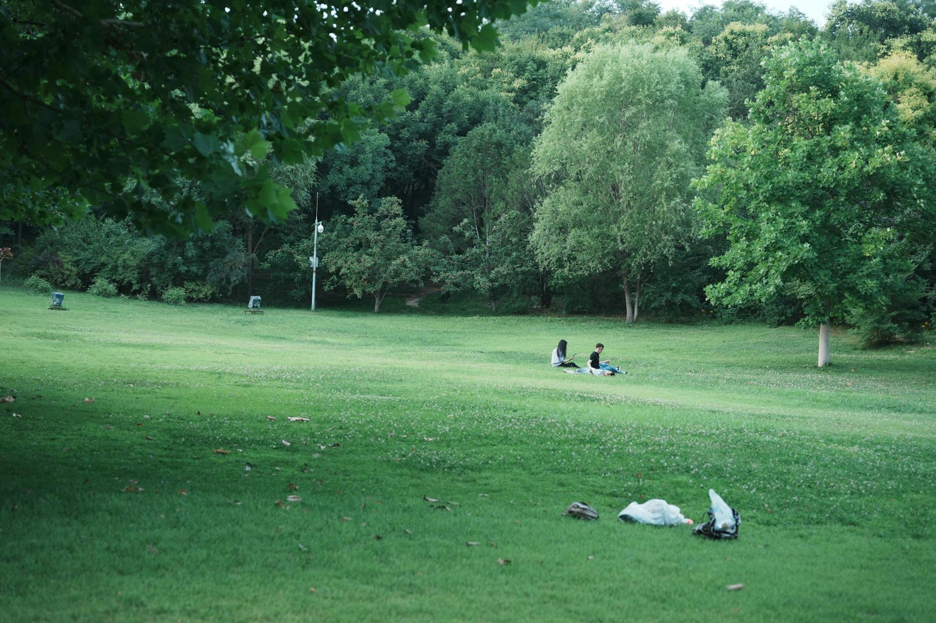 Best parks in Toronto open lawn picnic relaxation summer