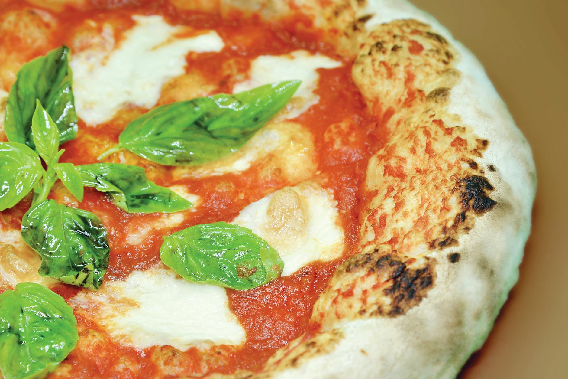 Best Pizza Toronto: A Slice-by-Slice Guide for 2026
