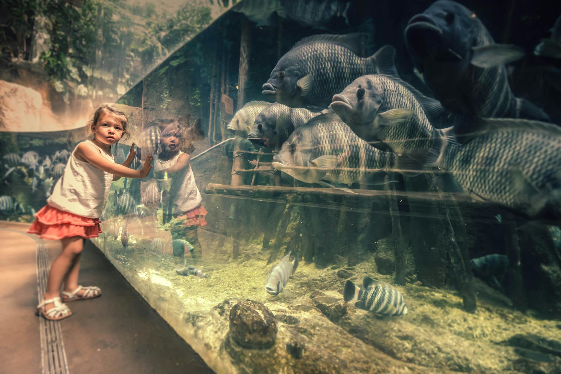 Family attractions Toronto kids exploring zoo aquarium fun activities