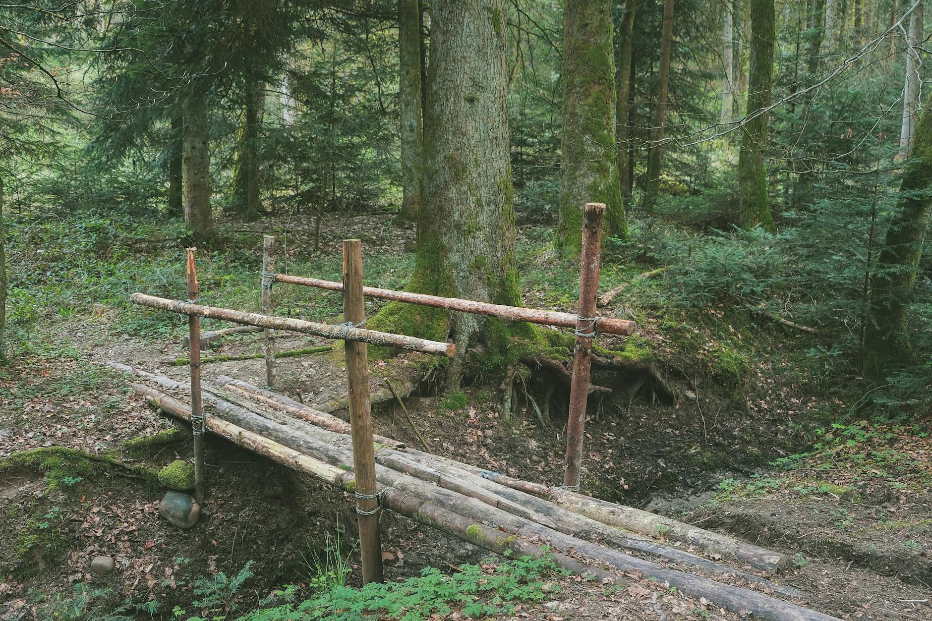 Hiking trails Toronto wooden footbridge stream forest crossing