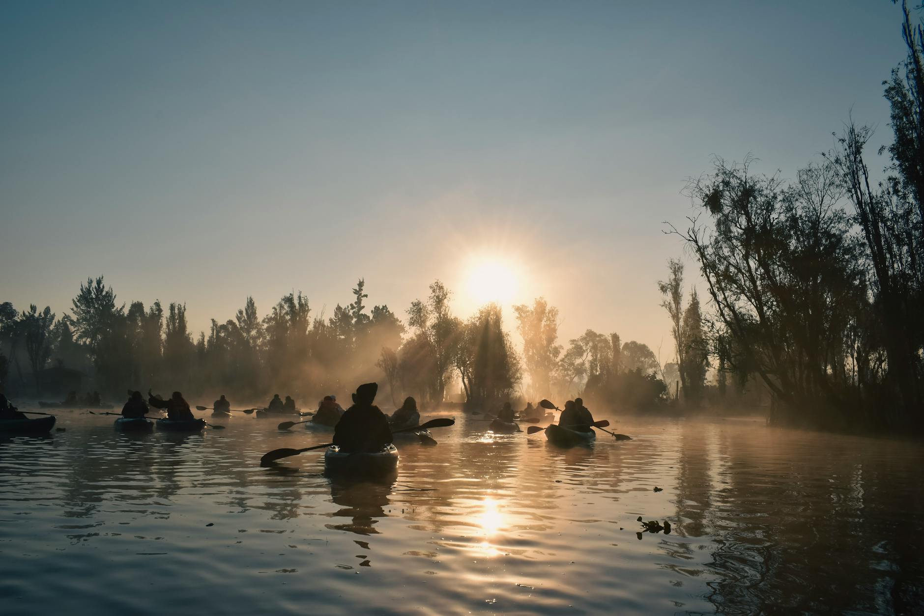 Kayaking Toronto inner lagoon willow trees calm water