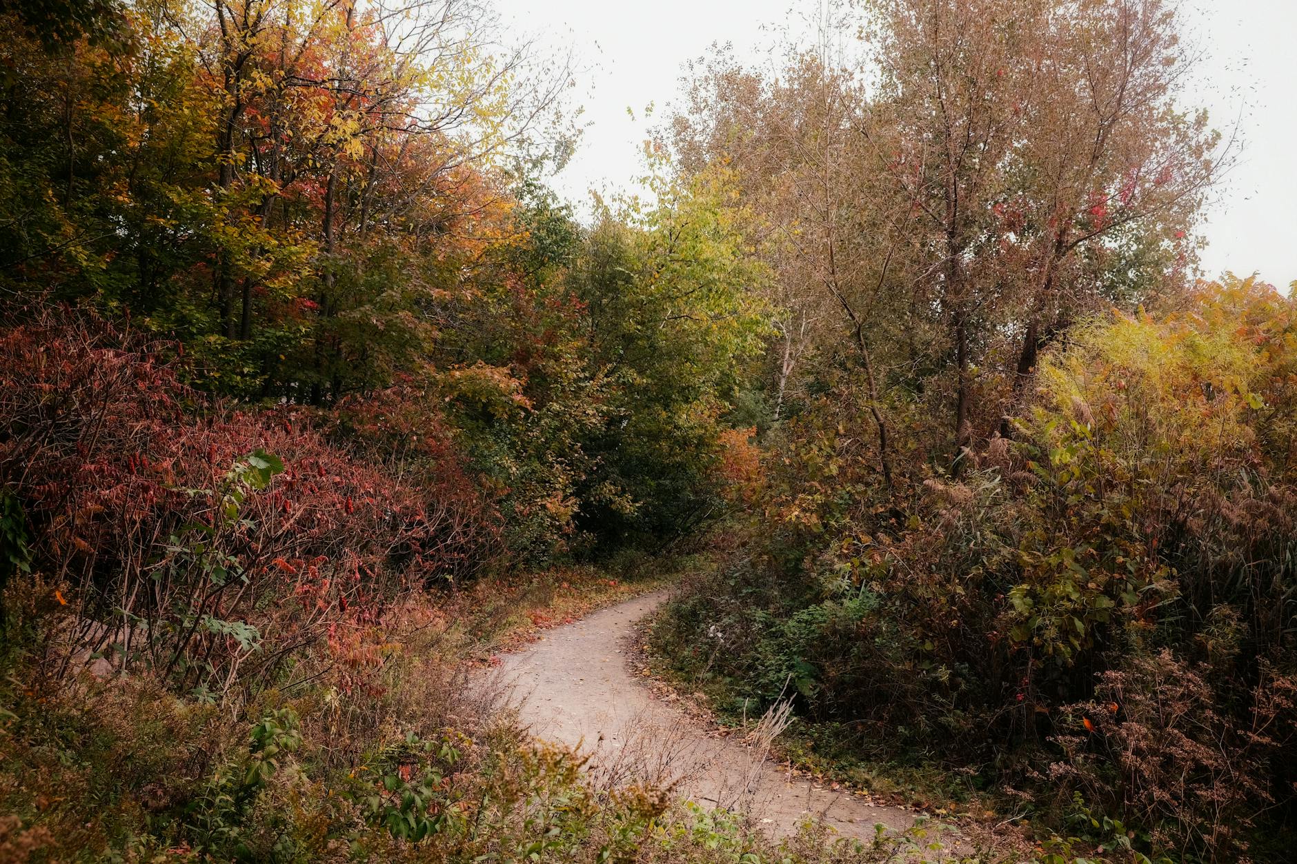One week Toronto itinerary Don Valley hiking trails forest brick works