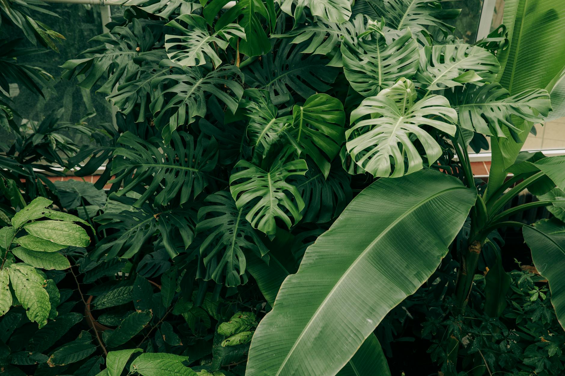 Ontario Science Centre Toronto Living Earth rainforest simulation exhibits