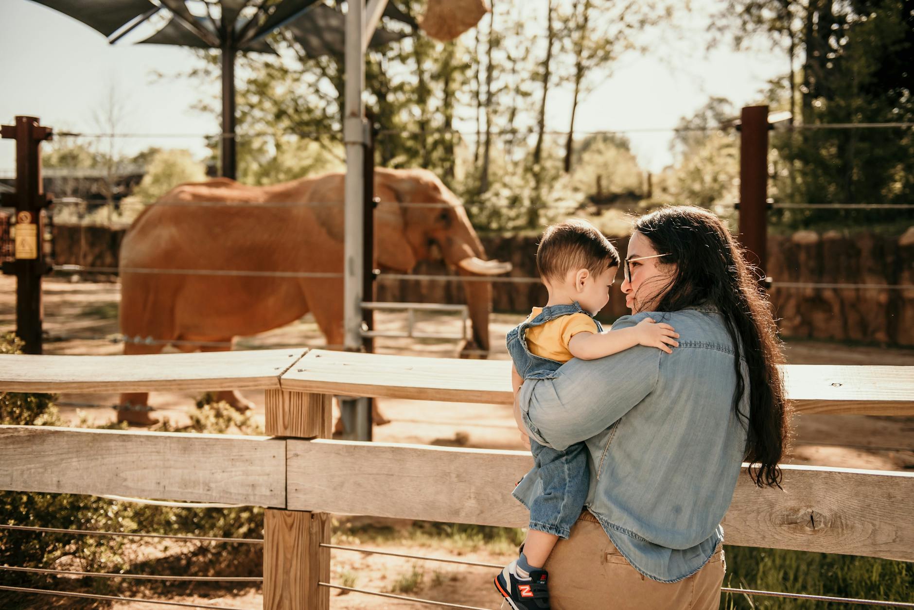 Toronto Zoo with kids family animals visiting elephant habitat