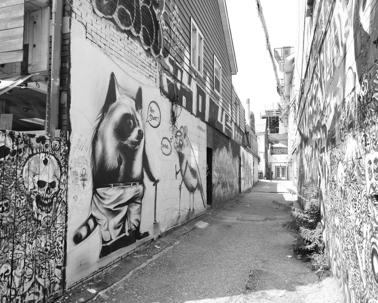 Queen Street West Toronto street art and storefronts