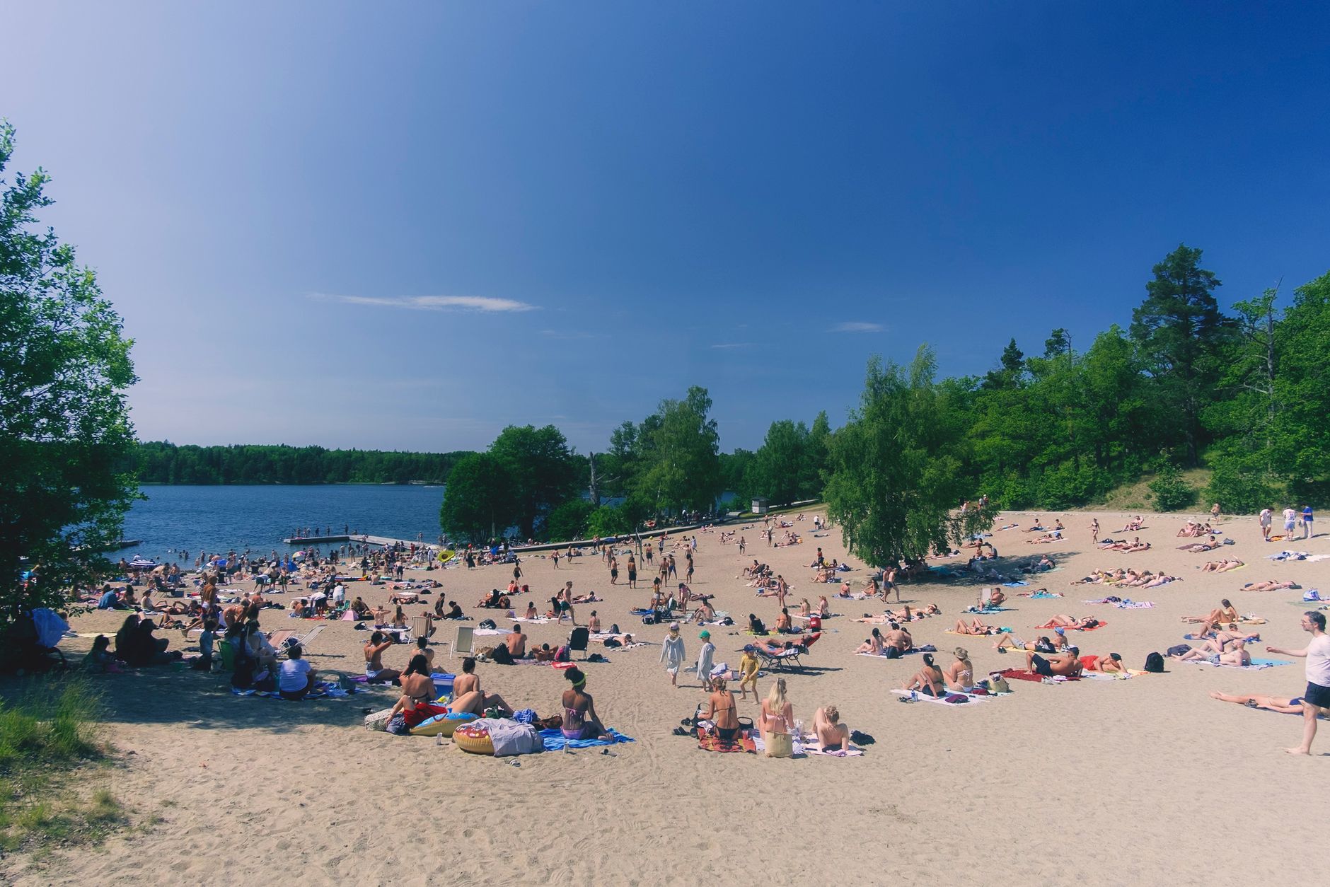 toronto in summer lakefront beach