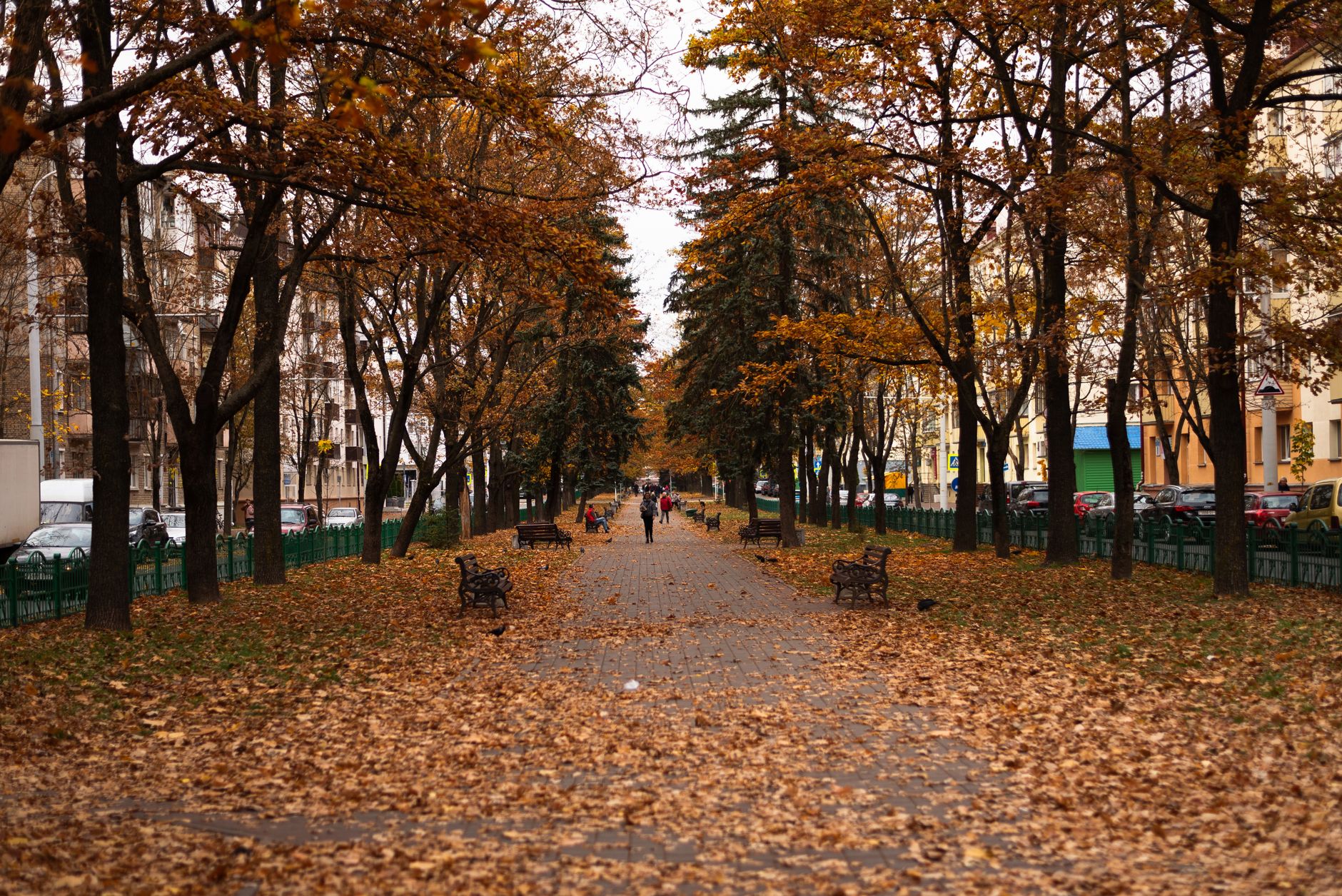 Paved path through a city park under maples turning red and gold in autumn