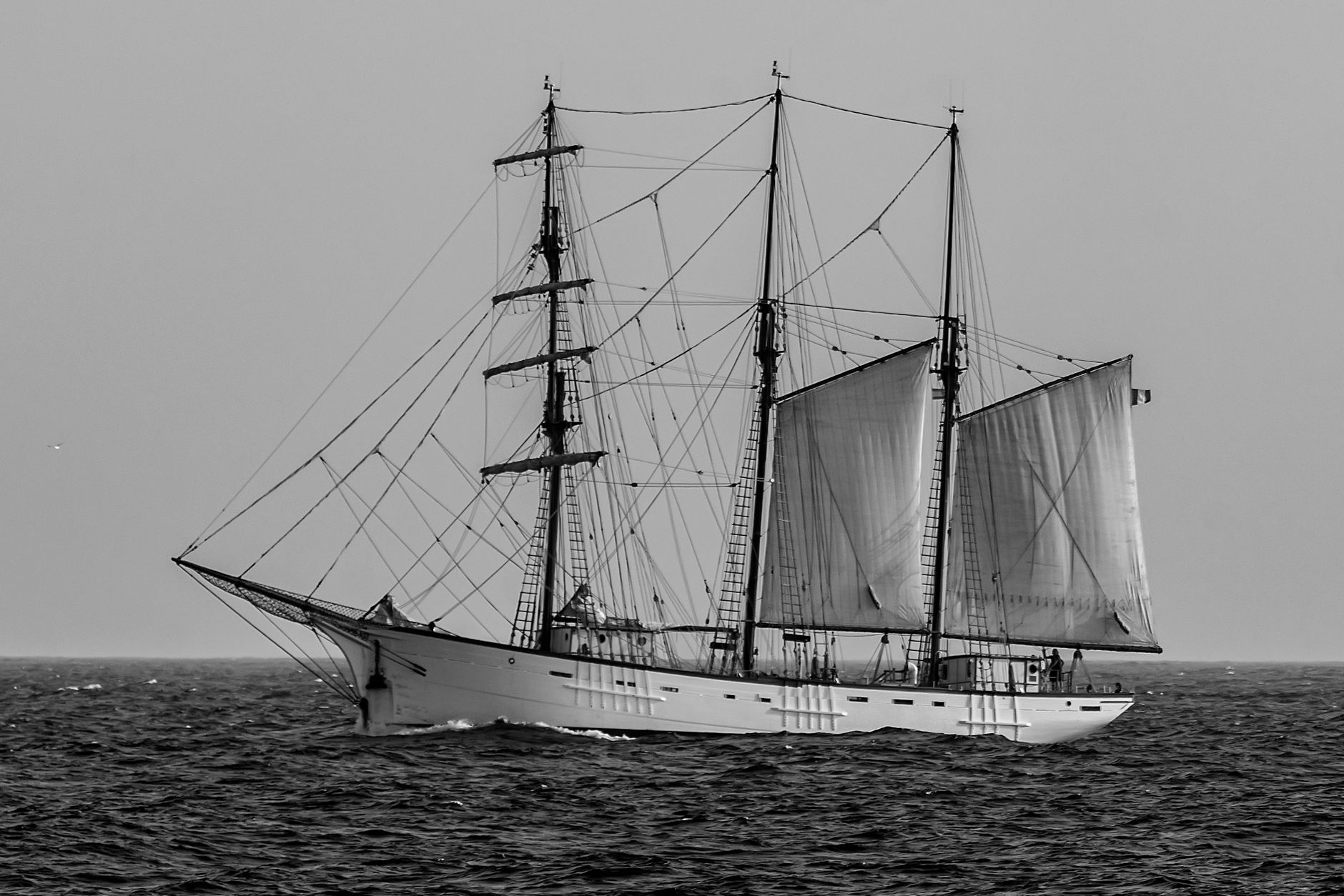Three-masted schooner under sail, the kind of tall ship that runs Toronto tours on Lake Ontario