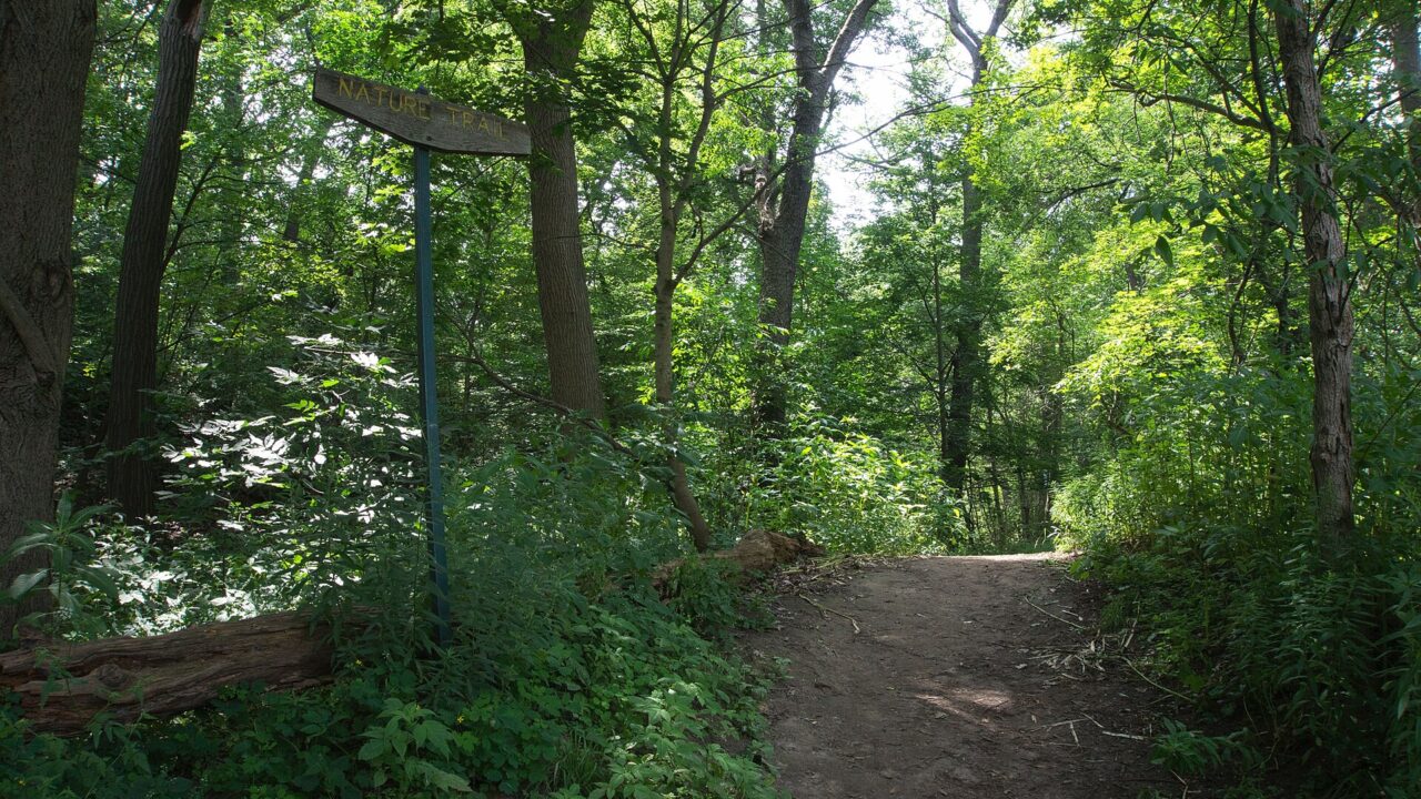 Wooden Nature Trail signpost beside a dirt path through summer woodland in High Park, Toronto