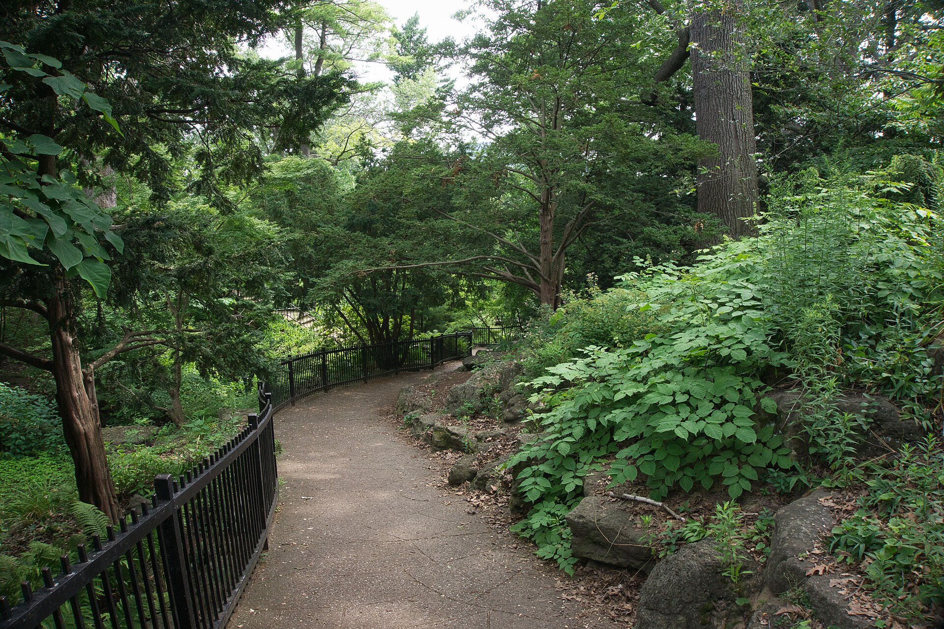 Paved path winding through dense woodland and ferns in High Park, Toronto