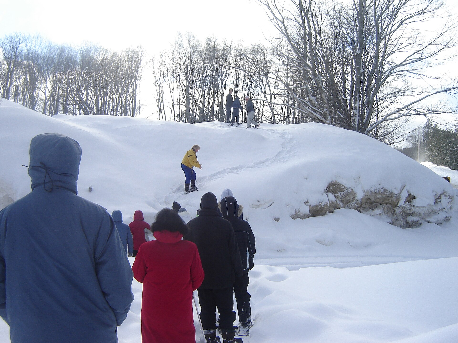 A group of people in winter coats snowshoeing up a snowy hill among bare trees in Horseshoe Valley, Ontario