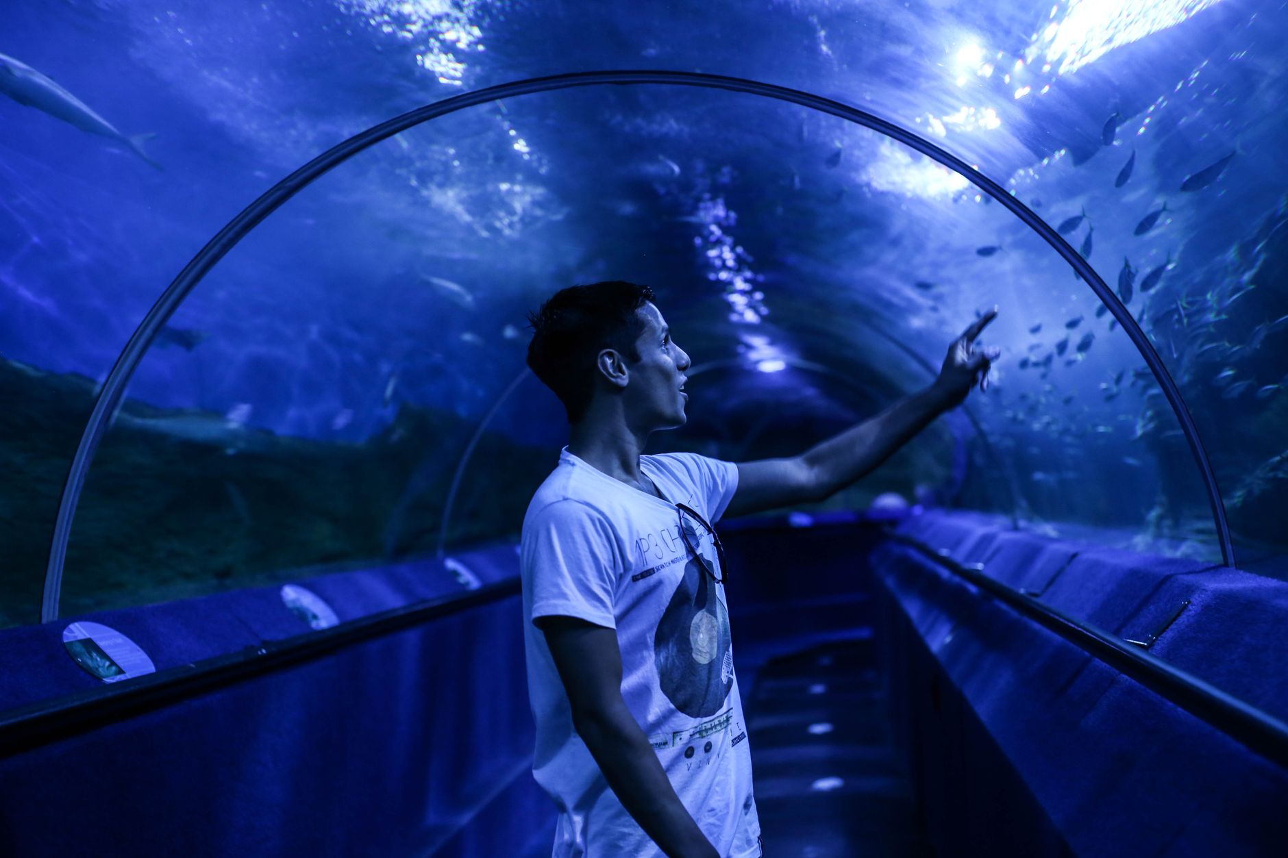 Visitors walking through a curved underwater aquarium viewing tunnel