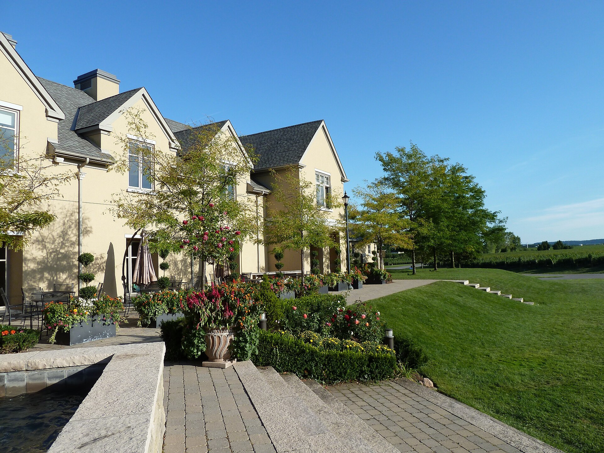 Winery building with a stone terrace, flower beds and vineyard rows stretching to the horizon behind it