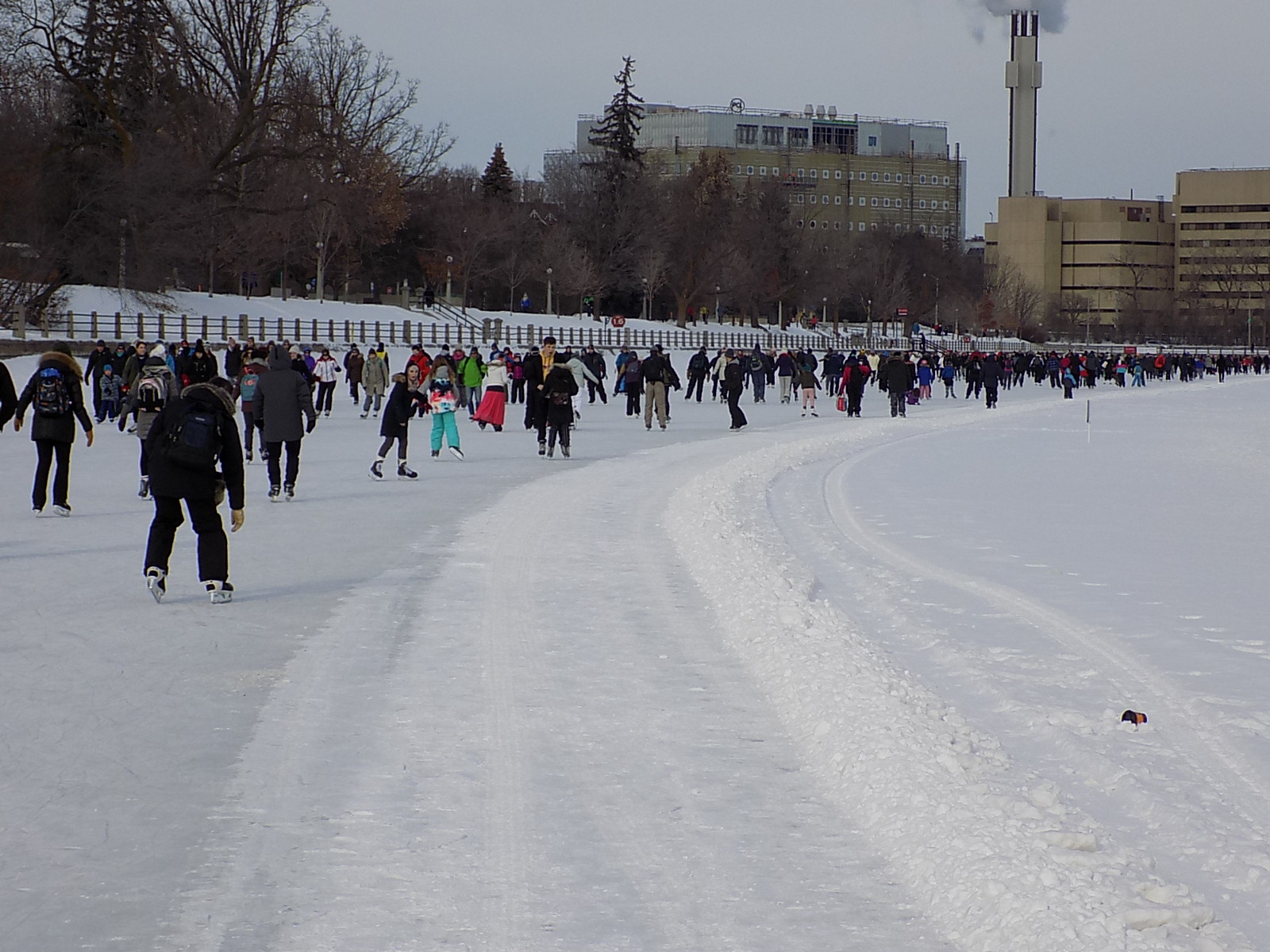 Crowds of people skating along the frozen Rideau Canal Skateway in Ottawa on a grey winter day, with snowbanks and bare trees along the edge
