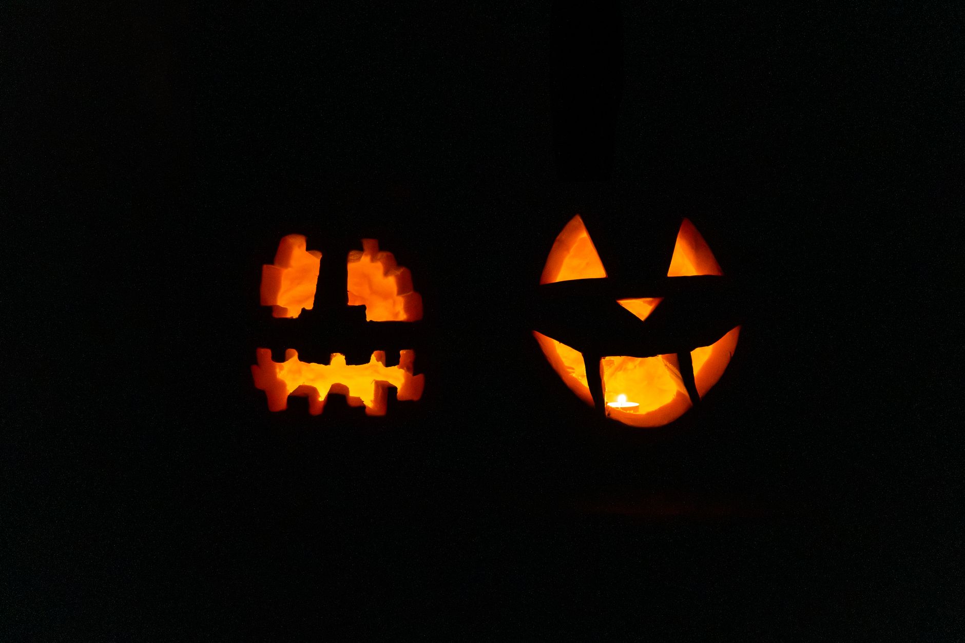 Rows of carved jack-o'-lanterns glowing along a wooded path at a Halloween pumpkin display