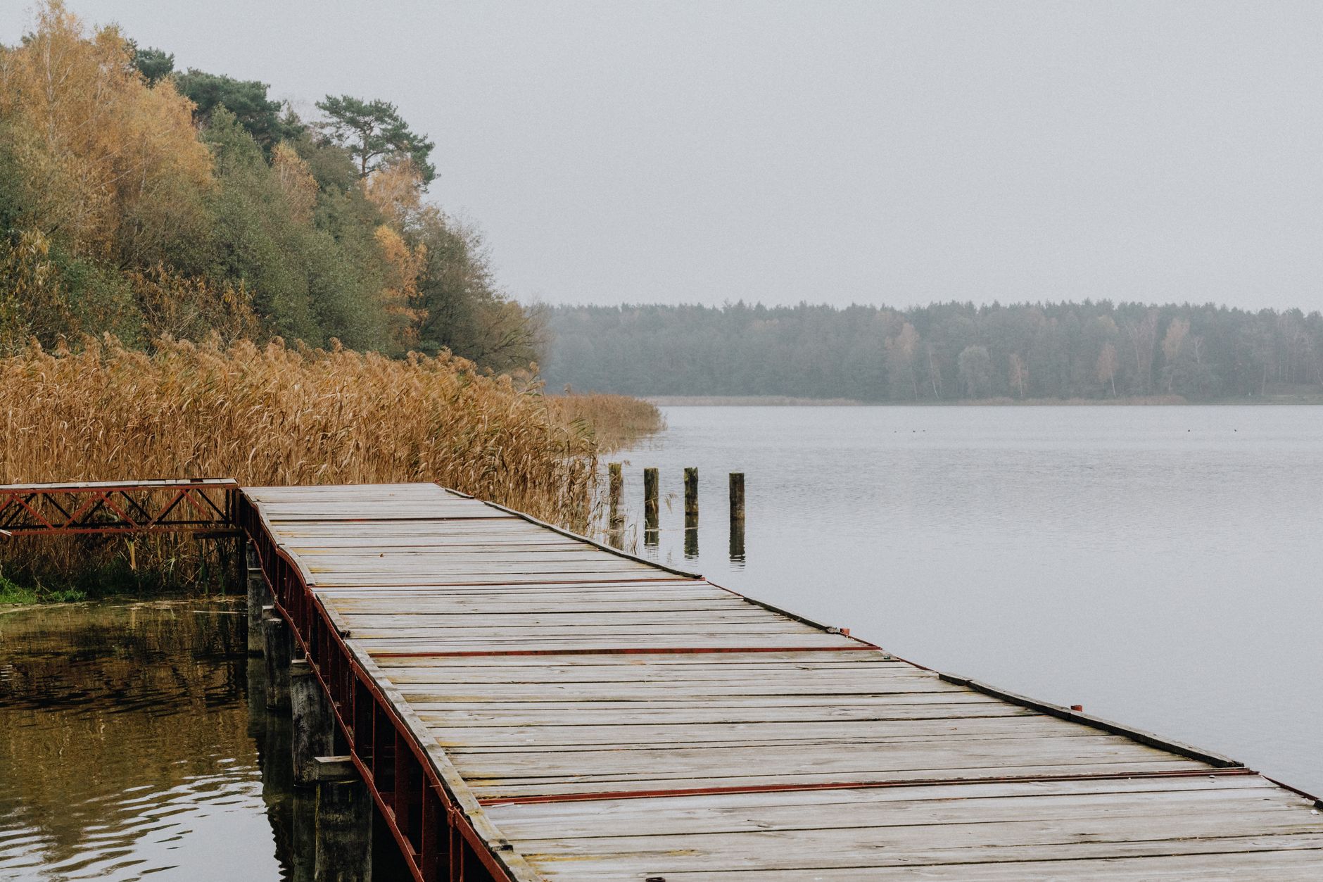 A wooden pier reaching into calm lake water on a grey, foggy autumn day