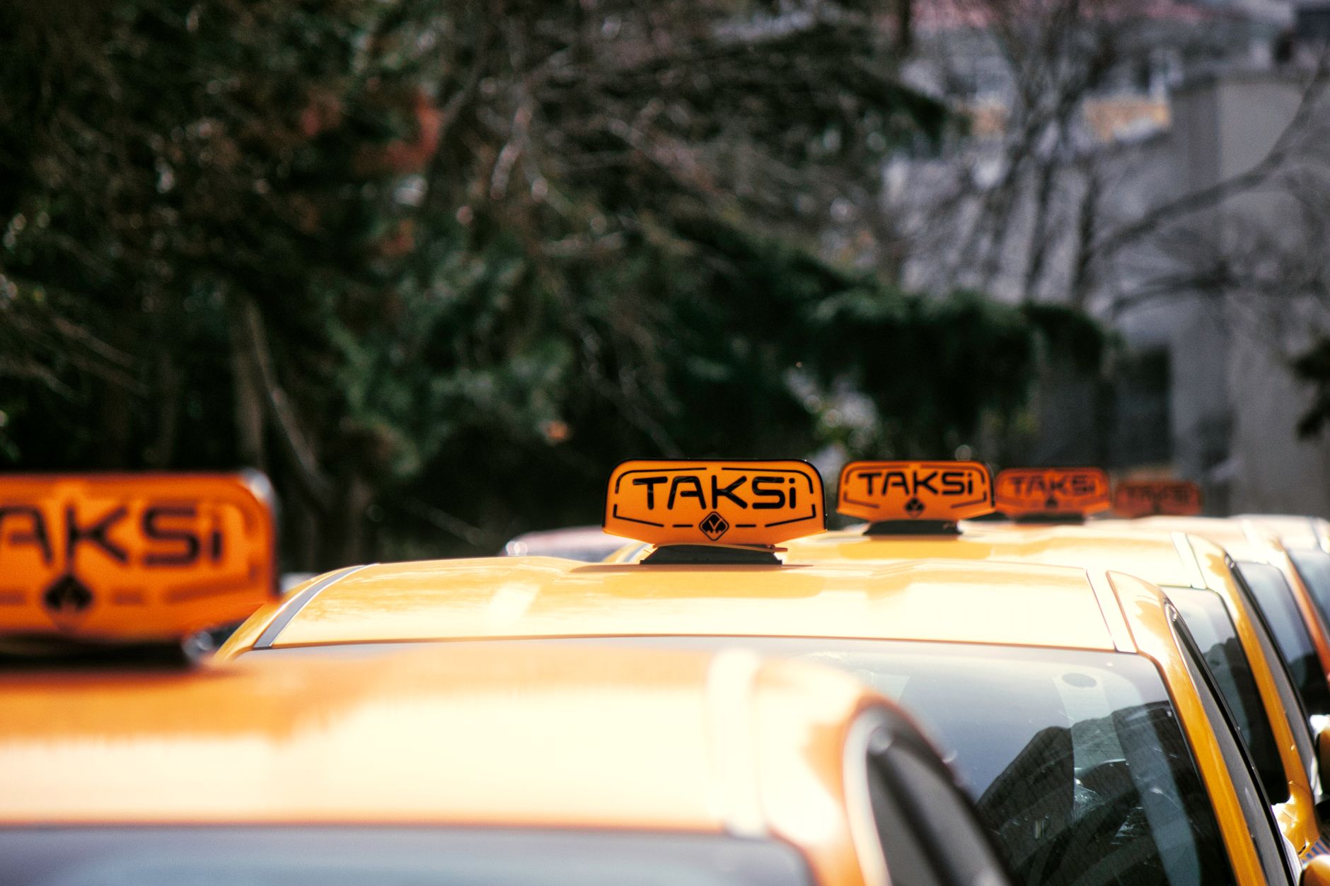 A line of taxis waiting at a rank