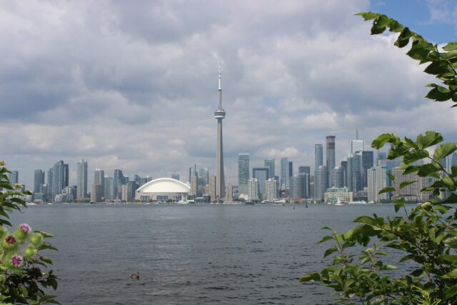 The Toronto skyline with the CN Tower and the white dome of Rogers Centre seen across the harbour from Centre Island, framed by leaves