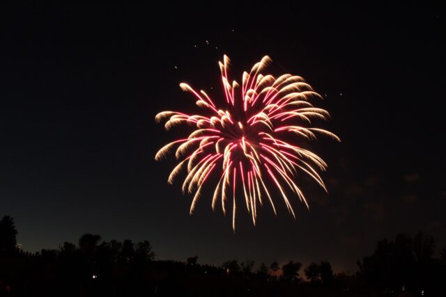 A red and gold firework bursting in a dark sky above silhouetted trees and a crowd in a Toronto park